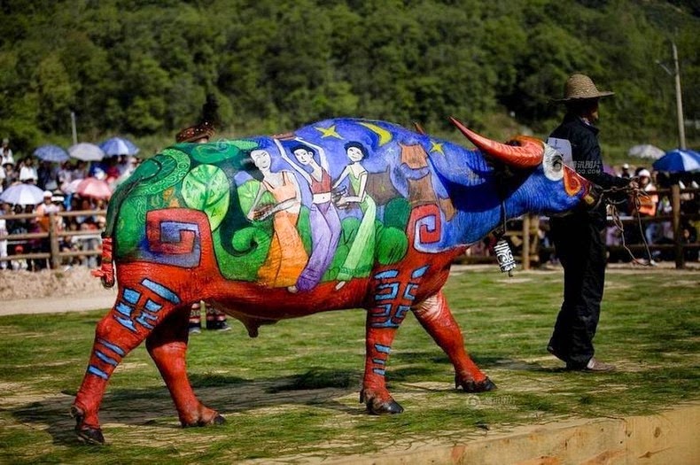 Painted buffalo 2014 - Source: https://www.amusingplanet.com/2014/05/buffalo-bodypainting-competition-in.html